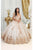May Queen LK213 - Cold Shoulder Applique Ballgown Special Occasion Dress