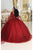 May Queen LK214 - Cape Sleeve Embroidered Ballgown Special Occasion Dress