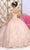 May Queen LK215 - Floral Embroidered Ballgown Quinceanera Dresses
