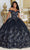 May Queen LK215 - Floral Embroidered Ballgown Quinceanera Dresses 4 / Navy