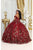 May Queen LK215 - Floral Embroidered Ballgown Special Occasion Dress