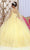 May Queen LK226 - Spaghetti Strap Embroidered Ballgown Ball Gowns