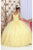May Queen LK226 - Spaghetti Strap Embroidered Ballgown Special Occasion Dress