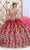 May Queen LK228 - Butterfly Applique Ballgown Quinceanera Dresses