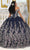 May Queen LK228 - Butterfly Applique Ballgown Quinceanera Dresses