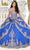 May Queen LK234 - Embroidered Mesh Ballgown Quinceanera Dresses 4 / Royal/Gold