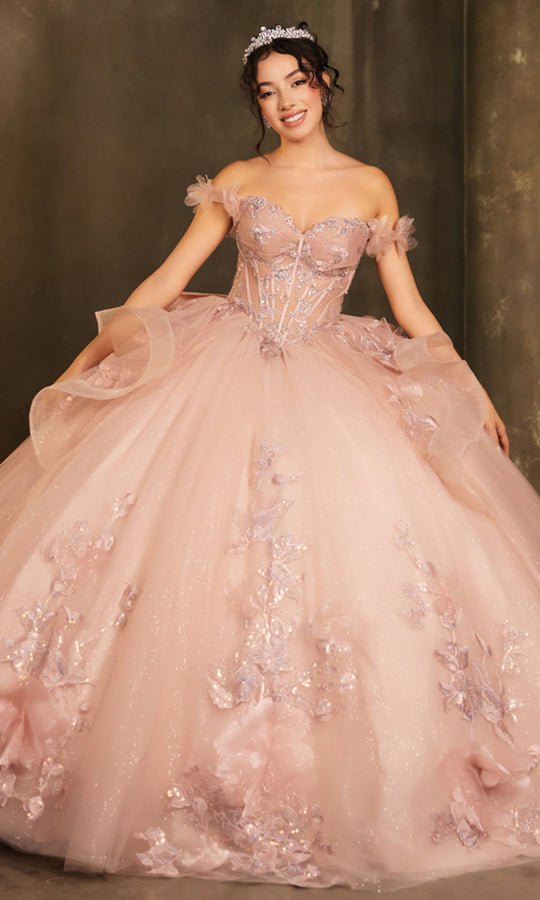 May Queen LK270 - Floral Applique Illusion Corset Ballgown