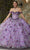 Mori Lee 60182 - 3D Floral Applique Embellished Strapless Ballgown Ball Gowns 00 / Orchid Garden