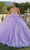 Mori Lee 60187 - Strapless Butterfly Ballgown Ball Gowns