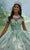 Mori Lee 60195 - Off-Shoulder 3D Floral Embellished Ballgown Ball Gowns