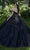 Mori Lee 60197 - 3D Floral Embellished Crystal Beaded Ballgown Ball Gowns