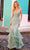 Nox Anabel G1368 - Floral Appliqued Sleeveless Prom Dress Special Occasion Dress 4 / Sage Green