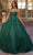 Nox Anabel H1271 - Sequin Applique Ballgown Special Occasion Dress 0 / Green