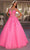 Nox Anabel H1357 - Sleeveless Corset Bodice Ballgown Special Occasion Dress 2 / Hot Pink Multi