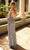 Primavera Couture 4113 - Spaghetti Strap Beaded Prom Dress Special Occasion Dress