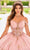Princesa by Ariana Vara PR30154 - Lace-Up Tie Prom Gown Prom Dresses