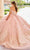 Princesa by Ariana Vara PR30154 - Lace-Up Tie Prom Gown Prom Dresses