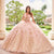 Princesa by Ariana Vara PR30154 - Lace-Up Tie Prom Gown Special Occasion Dress
