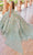 Princesa by Ariana Vara PR30157 - Floral Sleeveless Prom Gown Prom Dresses
