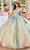 Princesa by Ariana Vara PR30158 - Sleeveless Prom Gown Prom Dresses 00 / Sage/Champagne