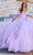 Princesa by Ariana Vara PR30161 - Short Sleeves Prom Gown Prom Dresses 00 / Lilac