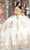 Quinceanera Collection 26042 - Appliqued Tulle Quinceanera Dress Quinceanera Dresses 0 / Champagne