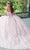 Quinceanera Collection 26047 - Laced Feathered Quinceanera Dress Quinceanera Dresses