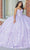 Quinceanera Collection 26050 - Sleeveless Sweetheart Voluminous Gown Quinceanera Dresses 0 / Lilac/Lilac