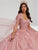 Quinceanera Collection 26057 - Floral Lace Sweetheart Ballgown Special Occasion Dress