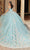 Quinceanera Collection 26059 - V-Neck Embroidered Ballgown Quinceanera Dresses