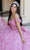 Quinceanera Collection 26062 - Sweetheart Embroidered Ballgown Ball Gowns