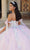 Quinceanera Collection 26067 - Floral Appliqued Ball Gown Quinceanera Dresses