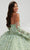 Quinceanera Collection 26070 - Strapless Embroidered Ball Gown Quinceanera Dresses