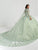 Quinceanera Collection 26070 - Strapless Embroidered Ball Gown Special Occasion Dress