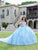 Quinceanera Collection 26072 - Floral Lace Sweetheart Ballgown Special Occasion Dress