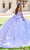 Quinceanera Collection 26078 - Lace Applique Off-Shoulder Ballgown Ball Gowns