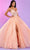 Rachel Allan 70510 - Applique A-Line Prom Dress Ball Gowns 00 / Sherbert