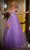 Rachel Allan 70510 - Applique A-Line Prom Dress Ball Gowns