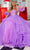 Rachel Allan 70570 - Bejeweled Corset Ballgown Ball Gowns