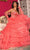 Rachel Allan 70576 - Ruffle Accent Ballgown Ball Gowns
