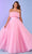Rachel Allan 70583 - Pleated A-Line Evening Gown Ball Gowns 00 / Pink