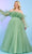 Rachel Allan 70583 - Pleated A-Line Evening Gown Ball Gowns 00 / Sage