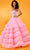 Rachel Allan 70621 - Sweetheart Beaded Corset Ballgown Ball Gowns 00 / Pink