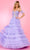 Rachel Allan 70675 - Sweetheart Ruffled Tulle Ballgown Ball Gowns 00 / Lilac