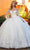 Rachel Allan Bridal RB6112 - Embroidered Wedding Ballgown Ball Gowns 0 / White