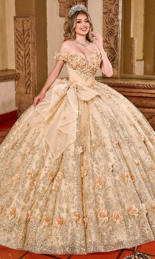 Rachel Allan Bridal RQ1141 - Floral Appliqued Off Shoulder Ballgown