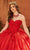 Rachel Allan MQ1103 - Puff Sleeve Quinceanera Ballgown Quinceanera Dresses