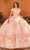 Rachel Allan MQ1108 - Off Shoulder Quinceanera Ballgown Quinceanera Dresses 0 / Blush