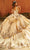 Rachel Allan MQ3093 - Bow Back Quinceanera Ballgown Special Occasion Dress