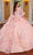 Rachel Allan RQ1110 - Puff Off Shoulder Quinceanera Ballgown Ball Gowns